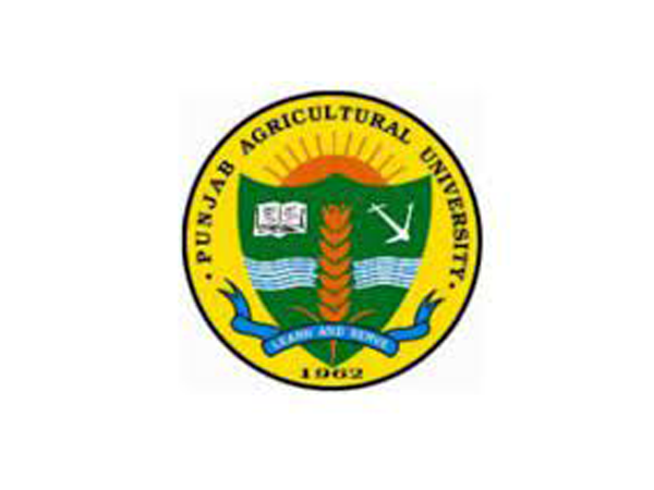 Department of Science, Technology and Environment